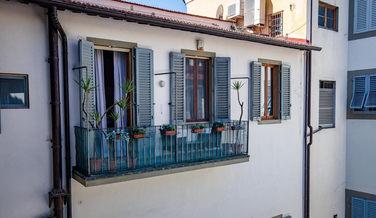 Acacia Firenze -tulipano